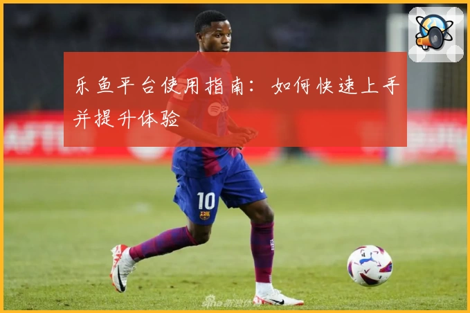 乐鱼平台使用指南：如何快速上手并提升体验
