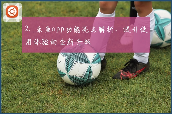 2. 乐鱼app功能亮点解析，提升使用体验的全新升级