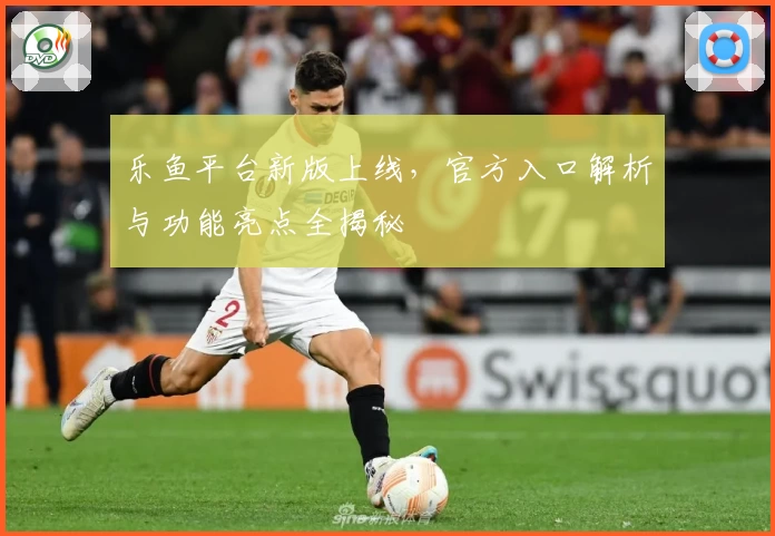 乐鱼平台新版上线，官方入口解析与功能亮点全揭秘