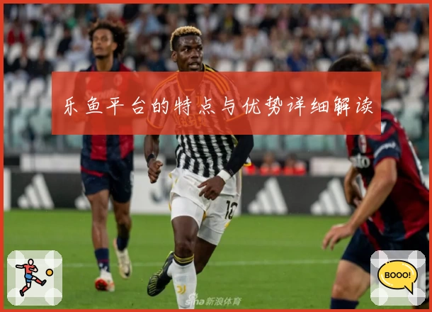乐鱼平台的特点与优势详细解读