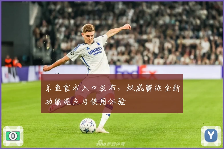 乐鱼官方入口发布，权威解读全新功能亮点与使用体验